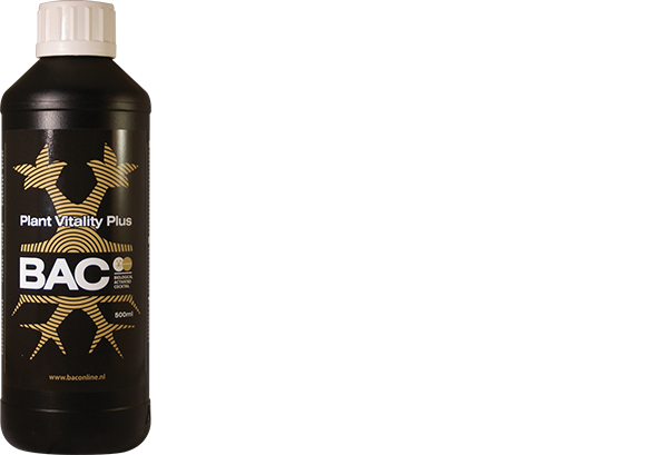 Vitality plus Vitality plus